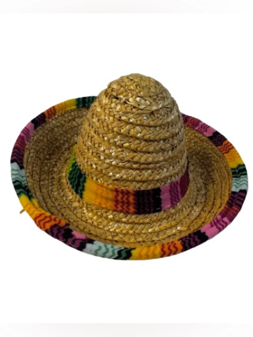 Mexican Serape & Sombrero Dog Costume
